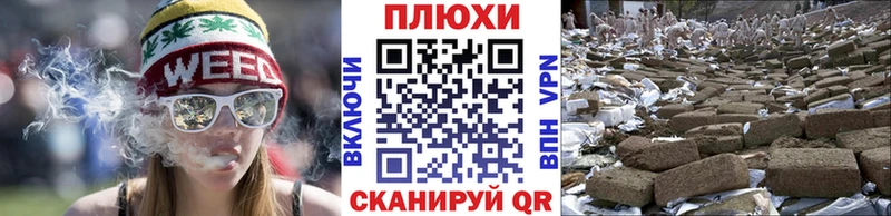 ГАШ VHQ Медынь