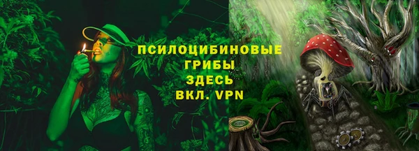 молекула духа Алзамай