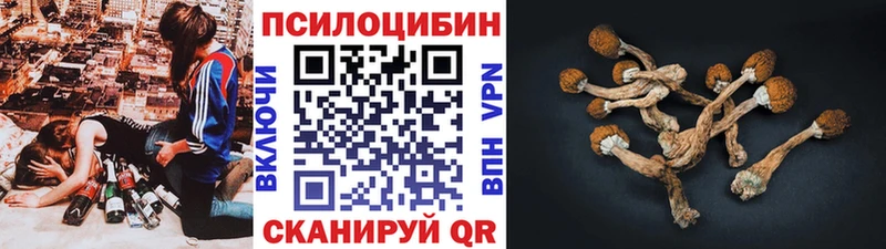 Псилоцибиновые грибы прущие грибы Медынь